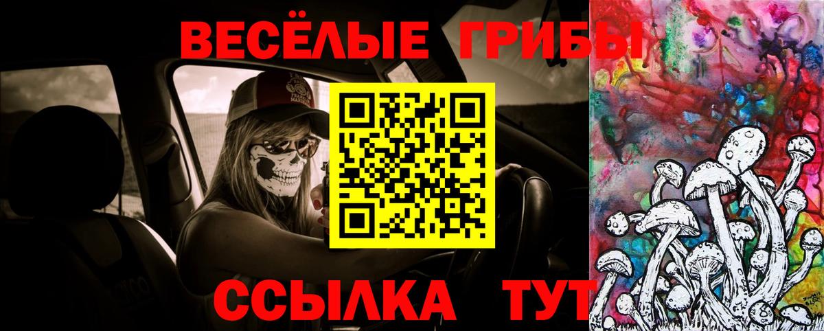 Галлюциногенные грибы Magic Shrooms  Псилоцибиновые грибы Psilocybe  Вход с VPN  Михайловка 
