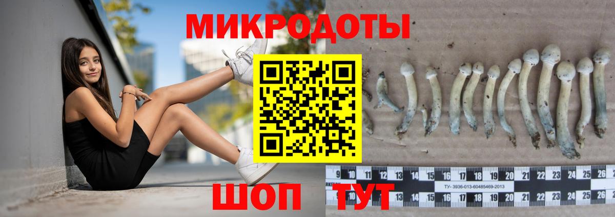 Псилоцибиновые грибы мухоморы Михайловка